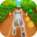 Pet Run - Puppy Dog Game