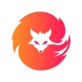 Vixen VPN: Fast & Secure